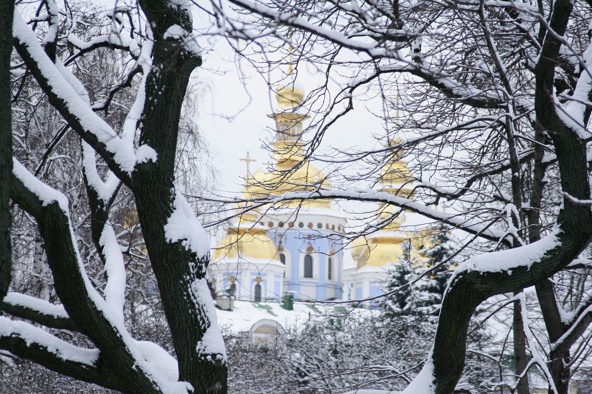 парки киева зимой